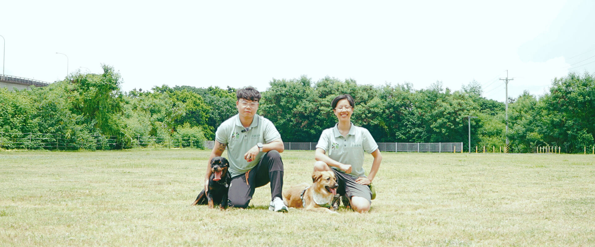 北歐森林家庭犬貓訓練中心
