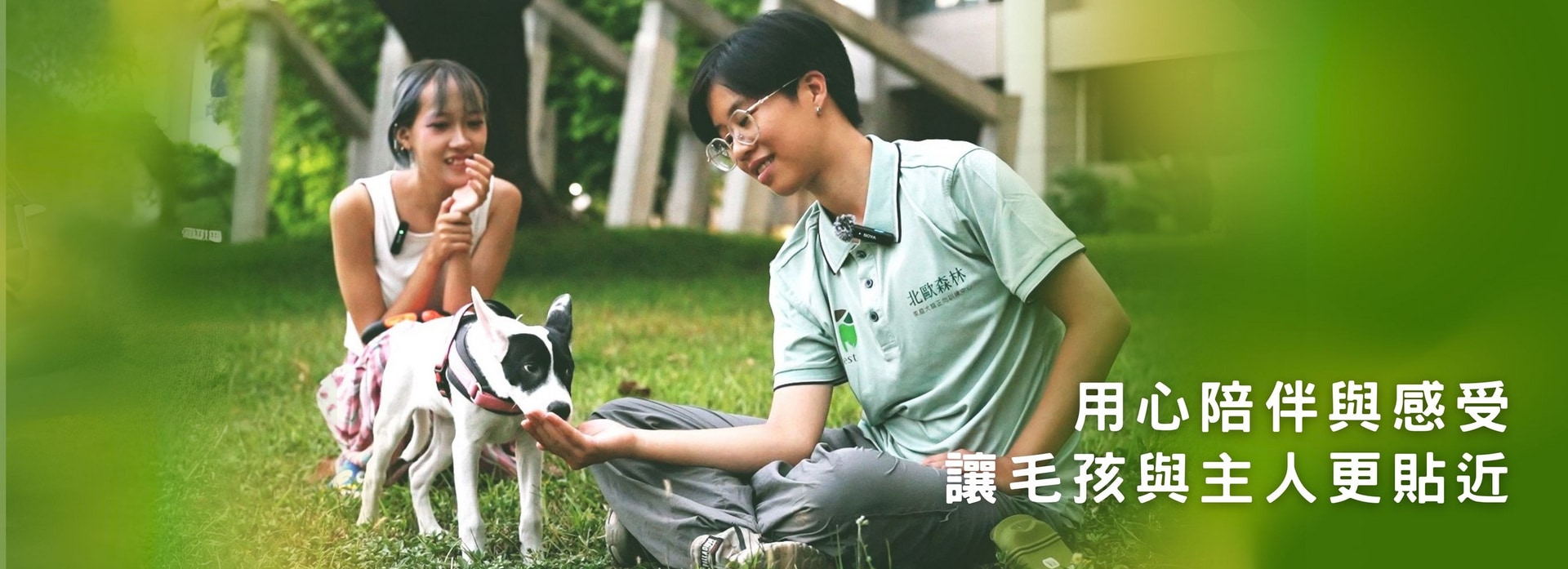 北歐森林