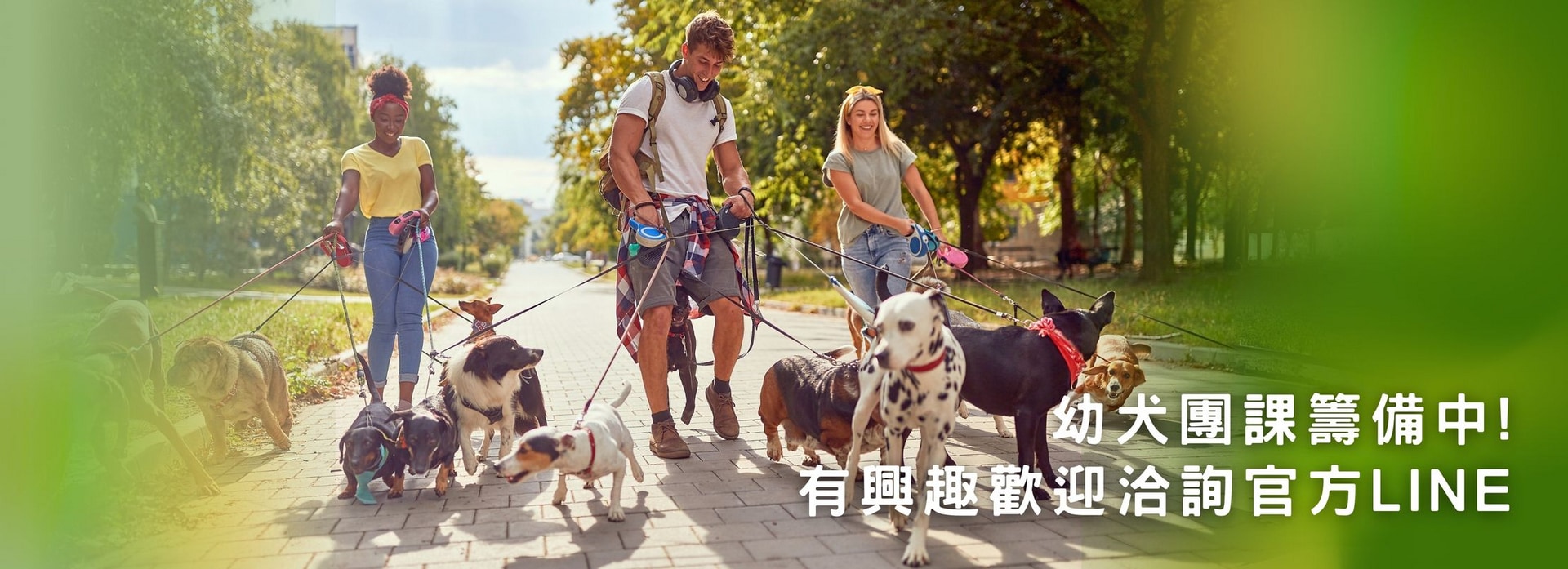 北歐森林