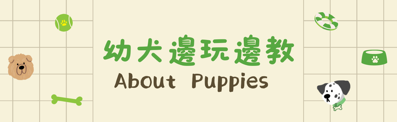 幼犬邊玩邊教