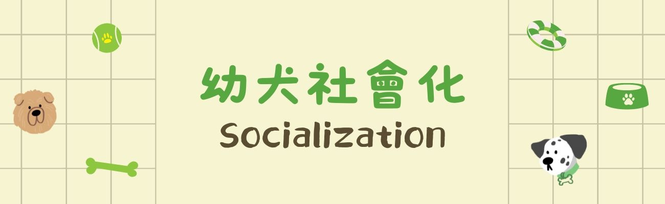 幼犬社會化