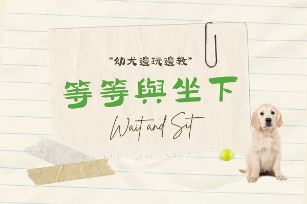 等等與坐下的代表圖