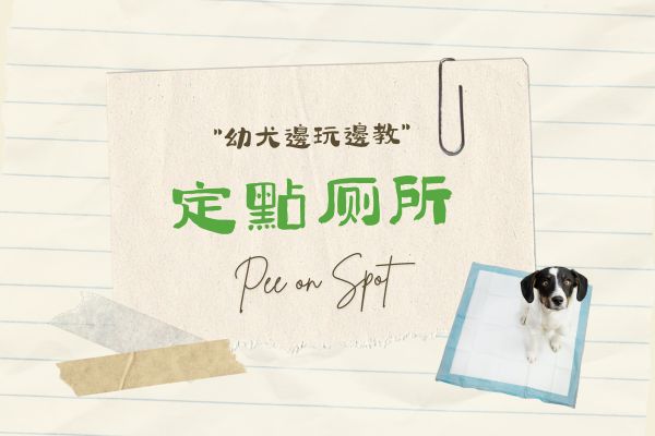 定點廁所的代表圖