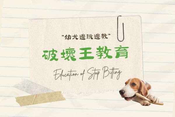 破壞王教育的代表圖 破壞王教育的代表圖