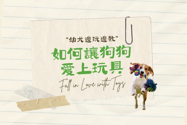 如何讓狗狗愛上玩具的代表圖