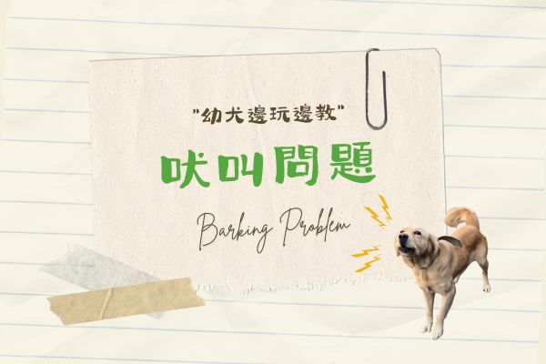 吠叫問題的代表圖 吠叫問題的代表圖