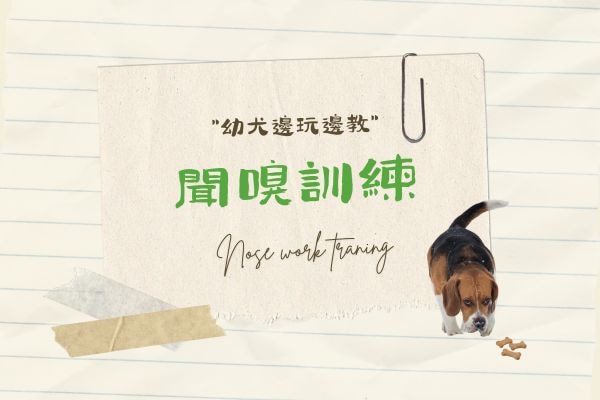 室外聞嗅的代表圖