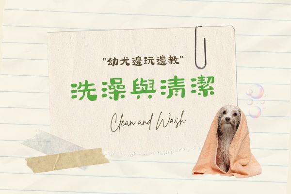 洗澡與清潔的代表圖