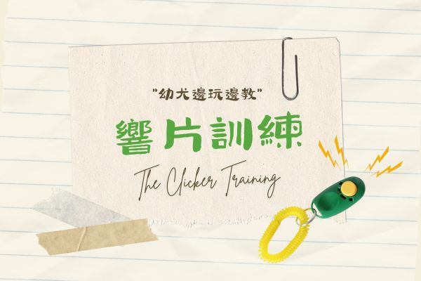 響片訓練的代表圖
