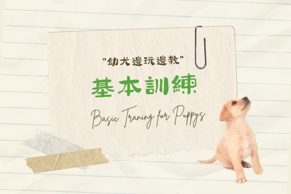 基本訓練的代表圖