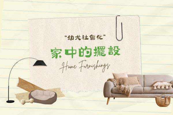 家中的擺設的代表圖