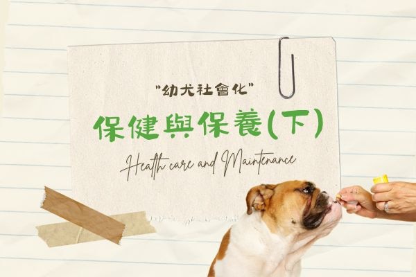 保健與保養(下)的代表圖