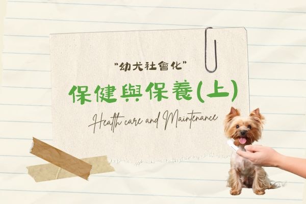 保健與保養(上)的代表圖