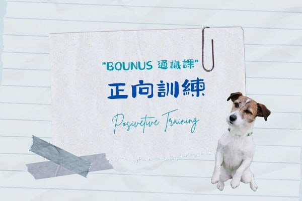 通識課 - 正向訓練的代表圖