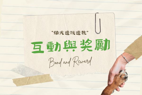 互動與獎勵的代表圖