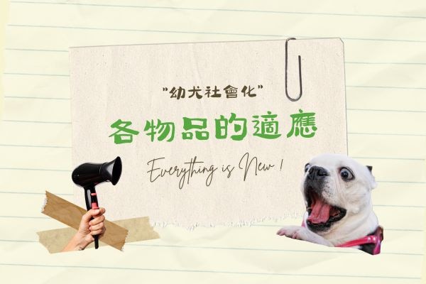 各物品的適應的代表圖