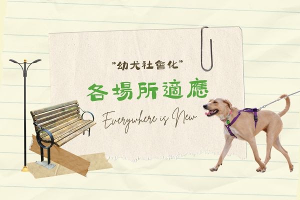 各場所適應的代表圖 各場所適應的代表圖