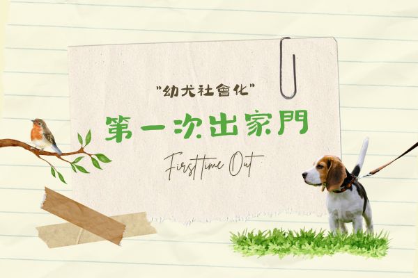 第一次出家門的代表圖