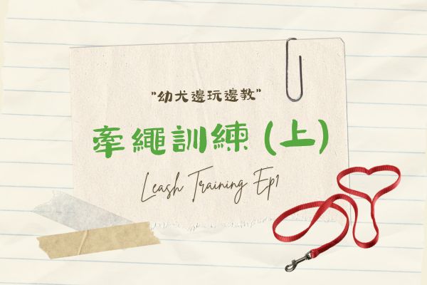 牽繩訓練(上)的代表圖 牽繩訓練(上)的代表圖
