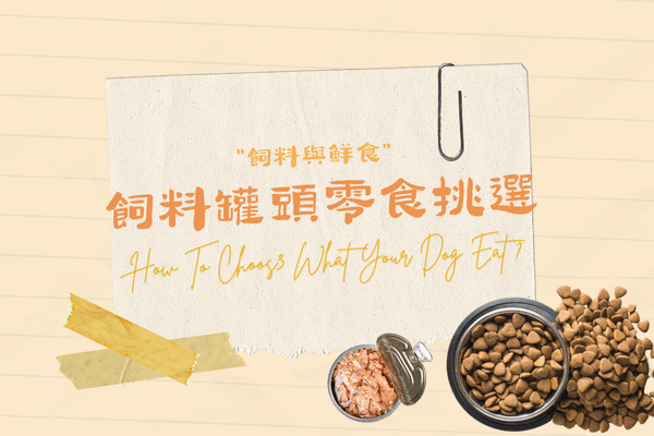 飼料罐頭零食挑選的代表圖