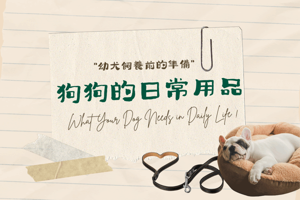 狗狗的日常用品的代表圖