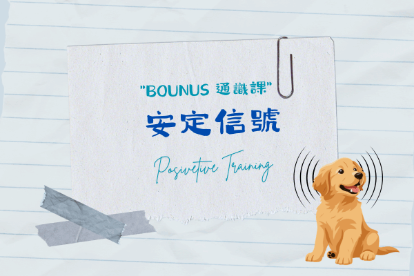 安定信號是什麼的代表圖