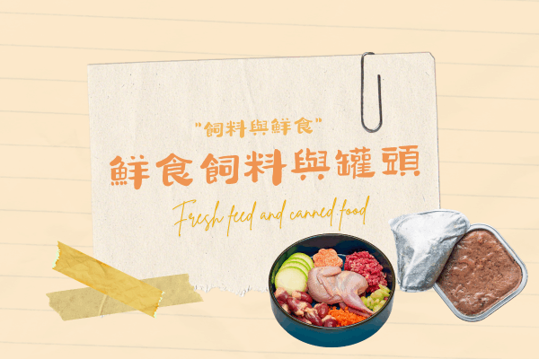 鮮食飼料與罐頭的代表圖