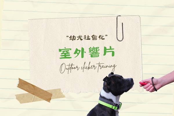 室外響片 training的代表圖