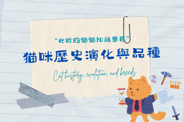 貓咪歷史演化與品種的代表圖