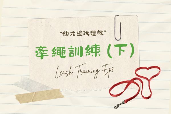 牽繩訓練(下)的代表圖 牽繩訓練(下)的代表圖