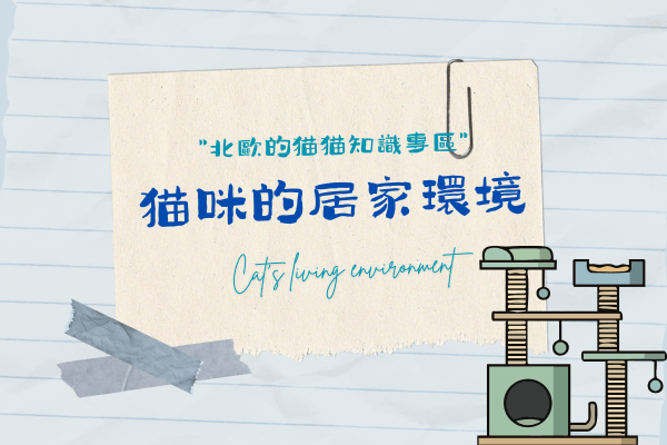 貓咪的居家環境的代表圖