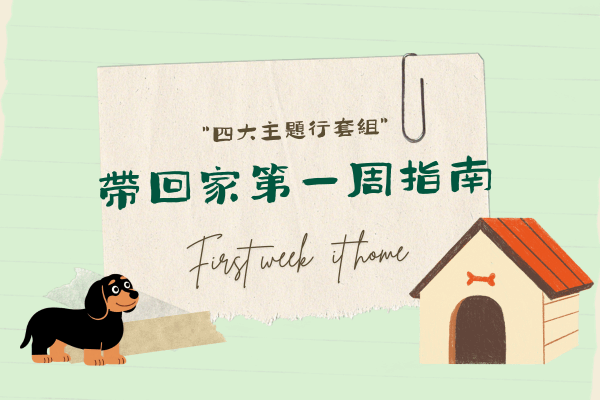 帶回家第一週指南的代表圖