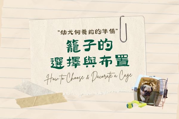 籠子的選擇與布置的代表圖
